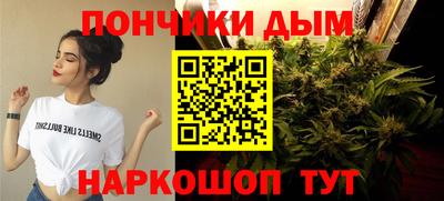 дмт Камышлов