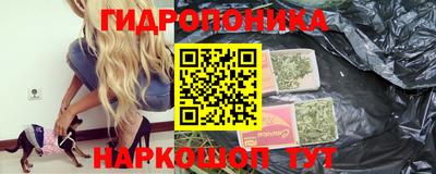 дмт Камышлов