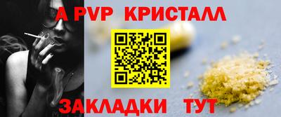 дмт Камышлов
